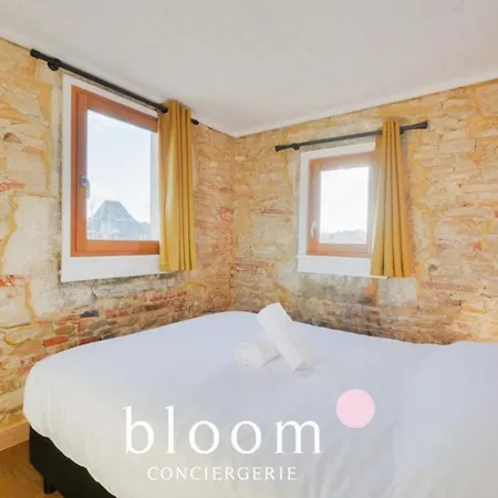 Vieille Bel Renove Nancy