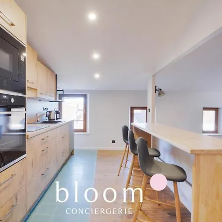 Vieille Bel Renove Apartment