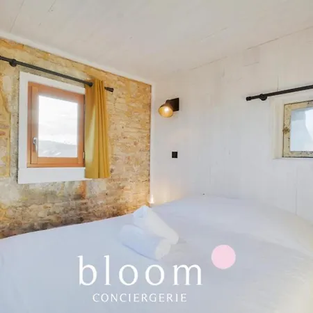 Appartement Vieille Bel Renove