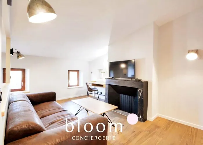 Vieille Bel Renove Appartement Nancy