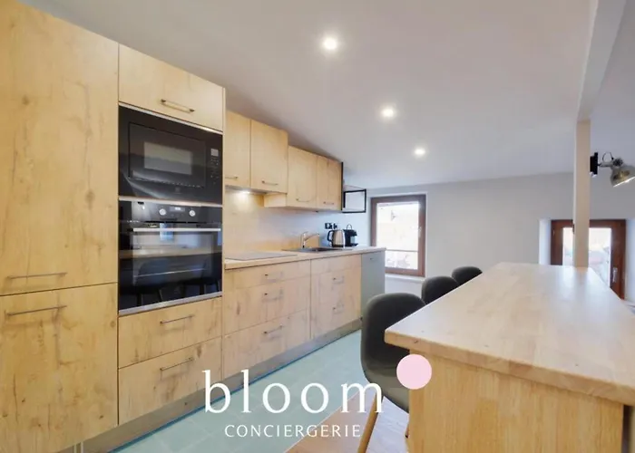 Appartement Vieille Bel Renove Nancy