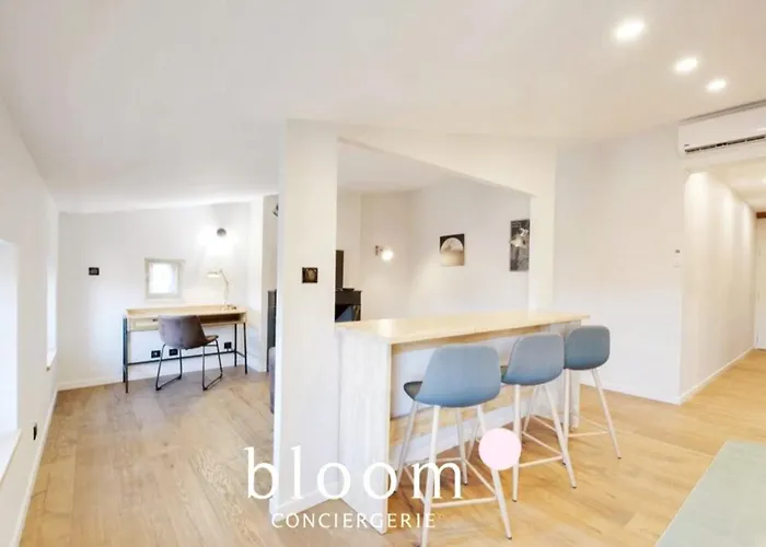 Appartement Vieille Bel Renove Nancy